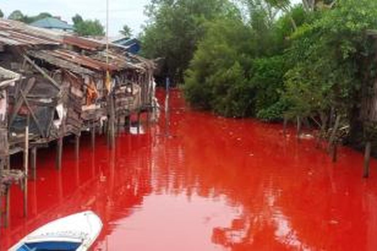Viral Sungai Berubah Warna MendadakIni yang Sebenarnya Terjadi di Baliknya